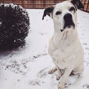 Meet your Posher, Katelyn